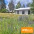 3 Bedroom House for sale in Cautin Araucania, Villarrica, Cautin, Araucania, Chile