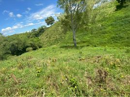  Land for sale in Pereira, Risaralda, Pereira