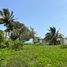  Terreno (Parcela) en venta en Progreso, Yucatán, Progreso