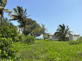  Terreno (Parcela) en venta en Progreso, Yucatán, Progreso