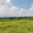  Land for sale in Bogor, West Jawa, Bogor Selatan, Bogor