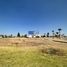  Land for sale in Celaya, Guanajuato, Celaya