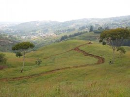  Land for sale in Cali, Valle Del Cauca, Cali