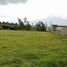  Land for sale in Otavalo, Imbabura, San Juan De Iluman, Otavalo