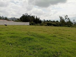  Terrain for sale in San Juan De Iluman, Otavalo, San Juan De Iluman