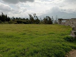  Grundstück zu verkaufen in Otavalo, Imbabura, San Juan De Iluman