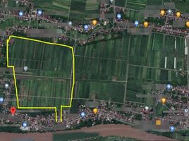  Land for sale in Dlanggu, Mojokerto, Dlanggu