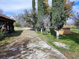  Land for sale in Parras, Coahuila, Parras, Coahuila