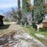  Land for sale in Parras, Coahuila, Parras, Coahuila