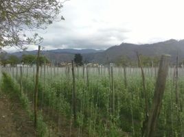  Terreno (Parcela) en venta en Sopo, Cundinamarca, Sopo