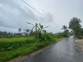 Grundstück zu verkaufen in Pakem, Yogyakarta, Pakem, Sleman, Yogyakarta