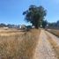  Land for sale in Ezequiel Montes, Queretaro, Ezequiel Montes