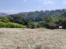  Land for sale in Pereira, Risaralda, Pereira