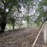  Land for rent in Cali, Valle Del Cauca, Cali, Valle Del Cauca