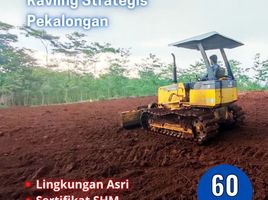  Land for sale in Pekalongan, Jawa Tengah, Tirto, Pekalongan