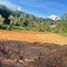  Land for sale in Rionegro, Antioquia, Rionegro