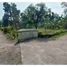 3 Habitación Casa en venta en Prambanan, Jawa Tengah, Prambanan