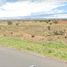  Terreno (Parcela) en venta en Morelos, Zacatecas, Morelos
