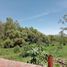  Terreno (Parcela) en venta en Huimilpan, Querétaro, Huimilpan