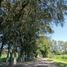  Terreno (Parcela) en venta en Huimilpan, Querétaro, Huimilpan