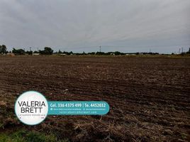  Land for sale in San Nicolas, Buenos Aires, San Nicolas