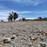  Terreno (Parcela) en venta en San Agustin Tlaxiaca, Hidalgo, San Agustin Tlaxiaca
