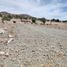  Terreno (Parcela) en venta en San Agustin Tlaxiaca, Hidalgo, San Agustin Tlaxiaca