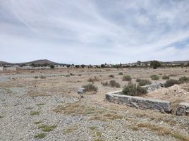  Terreno (Parcela) en venta en San Agustin Tlaxiaca, Hidalgo, San Agustin Tlaxiaca