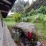 4 Habitación Villa en venta en Guarne, Antioquia, Guarne