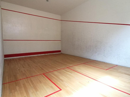 1 Bedroom Apartment for sale in Darien, Paya, Pinogana, Darien