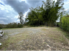  Grundstück zu verkaufen in Rionegro, Antioquia, Rionegro