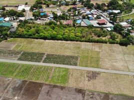  Land for sale in Santo Domingo, Nueva Ecija, Santo Domingo