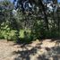  Land for sale in Amatitan, Jalisco, Amatitan
