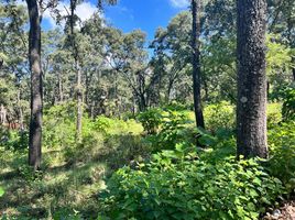  Land for sale in Amatitan, Jalisco, Amatitan