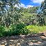  Land for sale in Amatitan, Jalisco, Amatitan