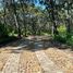  Land for sale in Amatitan, Jalisco, Amatitan