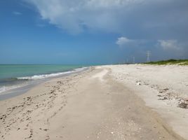 在Campeche出售的 土地, Carmen, Campeche