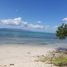  Land for sale in Dauis, Central Visayas, Dauis