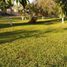 5 Habitación Quinta en venta en Azcapotzalco, Ciudad de México, Azcapotzalco, Ciudad de México