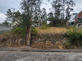  Terreno (Parcela) en venta en Nayon, Quito, Nayon