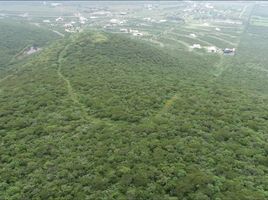  Terreno (Parcela) en venta en Lagos De Moreno, Jalisco, Lagos De Moreno, Jalisco