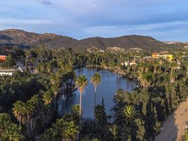  Grundstück zu verkaufen in Tecate, Baja California, Tecate, Baja California