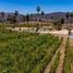  Grundstück zu verkaufen in Tecate, Baja California, Tecate, Baja California