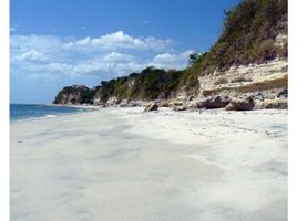  Grundstück zu verkaufen in San Carlos, Panama Oeste, Las Uvas