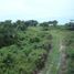  Grundstück zu verkaufen in San Carlos, Panama Oeste, Las Uvas, San Carlos, Panama Oeste