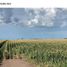  Land for sale in General Lopez, Santa Fe, General Lopez