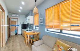 1-bedroom apartment for rent, 40 m², Ngũ Hành Sơn