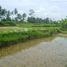  Tanah for sale in Tampak Siring, Gianyar, Tampak Siring