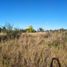  Land for sale in Punilla, Cordoba, Punilla