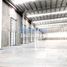 Estudio Casa en alquiler en Tamaulipas, Reynosa, Tamaulipas